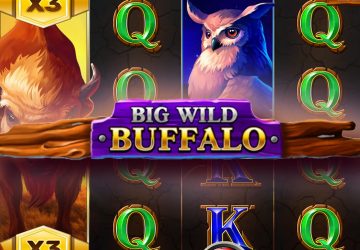 Игра Big Wild Buffalo в EZcash Casino